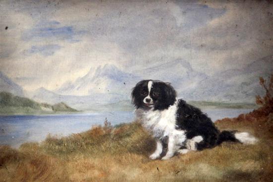 E. Bacon (19th C.) Yeddo, portrait of a Spaniel in a landscape, 7 x 10in.